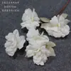 Flores Blancas Materiales Flores de Boda Flores de Seda Materiales Florales Decoración de Techo de Salón de Bodas Flores Flores Artificiales Flores para Arcos Arreglo Floral Arte Floral