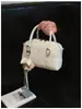 Bolso de Diseño de Nicho Estilo Coreano para Mujer, Bolso Cruzado de Moda Nuevo Verano 2026, Bolso de Mano de Alta Gama para Mujer, Bolso Almohada