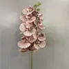 Casamento Flores Artificiais Padrão Phalaenopsis Hotel Teto Parede Pendurado Decoração Floral Restaurante Sala de Estar Estilo Europeu Colocação no Chão