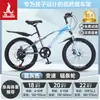 Bicicleta Infantil Phoenix para Niñas de 6-12-15 Años, Adolescentes, Niños Mayores, Bicicleta de Montaña con Cambios para Estudiantes