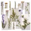 Flores Secas em Relevo, Espécimes Botânicos em Relevo para Ensino, Marcadores de Página Artesanais DIY, Colar Flores Secas, Capas de Celular, Aromaterapia com Cola