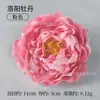 Adorno de Cabeça Flor de Peônia Mil Camadas Simulada, Acessórios Estilo Chinês Hanfu, Ornamento de Cabelo, Grampo de Cabelo, Adorno de Cabeça Floral, Coroa de Flores, Arranjo Floral, Peônia de Luoyang