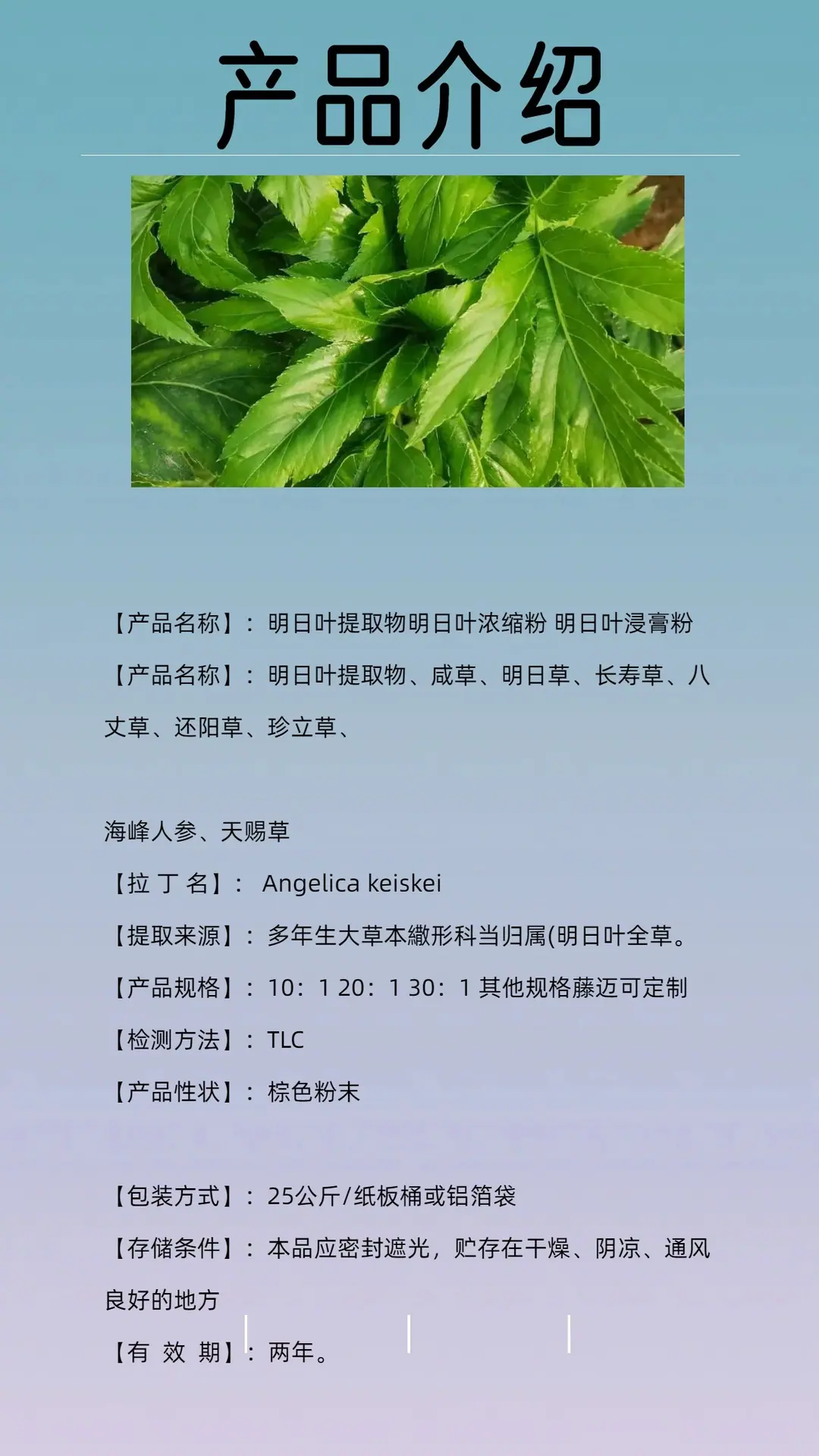 明日叶提取物