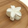 Pinza de Sujeción Pequeña Flor de Huevo Transfronteriza para la Parte Trasera de la Cabeza, Cola de Caballo, Flequillo Lateral, Flor de Bauhinia, Pinza de Cabello Color Caramelo
