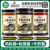 Academia de Ciencias Agrícolas Hongo de Pollo, Hígado de Res Matsutake, Snack Especial de Yunnan, Guarnición, Delicias de Montaña, Salsa para Arroz y Fideos con Hongos