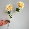 2 cabeças Rosa Xiyan casamento estrada liderança flor fileira dupla-cabeça Rosa decoração decoração salão de casamento mestre fundo mesa flor material de flor