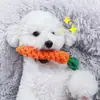 Juguete de cuerda duradero y resistente a las mordidas con forma de zanahoria para perros, ideal para morder y la dentición, un artículo para mascotas y juguete para mascotas