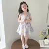 Vestido de Princesa Estilo Nuevo 2026 Sin Mangas Estampado Floral para Niñas, Vestido de Verano Delgado Elegante y Dulce de Moda