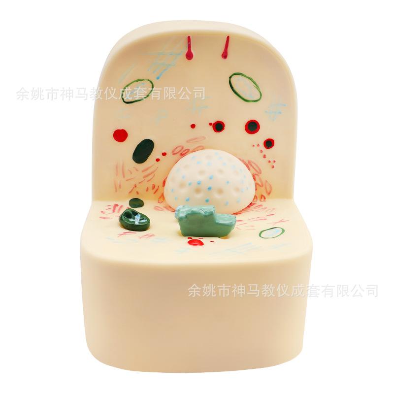 细胞亚显微结构模型-4