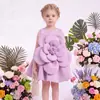 Vestido Princesa Estilo Ins Transfronteiriço com Algodão de Ar e Grandes Flores 3D, Vestido de Aniversário para Meninas Pequenas, Vestido de Daminha para o Verão