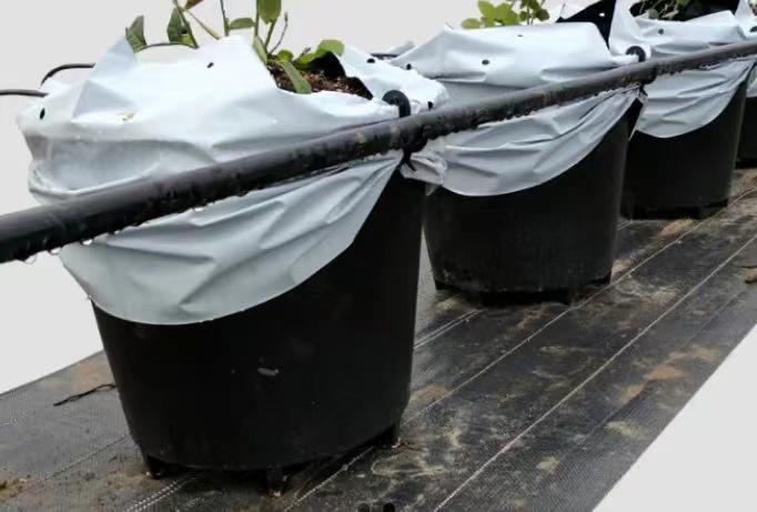 微信图片_20240702154514