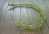 Enredaderas ramas ramitas higuera raíces aéreas trepadoras colocación musgo enredaderas muertas musgo artificial paisajismo estilo bosque colgante de pared decoración de arte floral