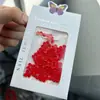 Resina Gato Kt Gravata Borboleta Decorações Mistas para Nail Art Ano Novo Natal Gatinho Gato Grande Laço Vermelho Acessórios de Unha Vestíveis