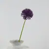 Rama Pequeña de Diente de León 50cm Flor Artificial Diente de León Moderno Decoración para el Hogar Arreglo de Flores Artificiales Decoración para Fotografía