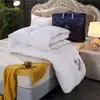 Ventas Directas de Fábrica Juego de Regalo Edredón de Terciopelo de Plumas Edredón de Primavera y Otoño Edredón de Invierno Hotel de Lujo Compra Grupal Regalo Venta al por Mayor