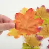 Hojas de Arce de Seda Artificial de 7 cm en Colores Otoñales, 50 Piezas/Paquete, Accesorios para Fotografía, Decoración de Escena, Boda, Más Vendido en Amazon