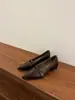 Zapatos de mujer de punta fina para commuting de corte bajo, primavera y otoño, retro francés casual para la noche, tacón grueso de moda, Mary Janes de cuero