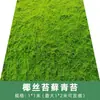 Plantas Musgos Paisagismo Bonsai Decoração de Ambiente Grama Artificial Flocagem Musgo Verde Plantas Verdes Gramado de Musgo
