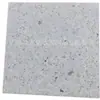 Región de Guangfo Ladrillo de PC Imitación Granito Cemento Ladrillo de PC Terrazo Ecológico para Pavimentación Shenzhen Fabricante Suministro