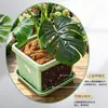 Maceta cuadrada de resina de PP engrosada para amarilis y lirios, maceta de plástico para plantar en interiores y balcones, para plantas de bulbo
