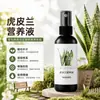 Fertilizante Especial para Sansevieria Solución Nutritiva No Requiere Dilución Orquídea Cola de Tigre Borde Dorado Plantas de Maceta para el Hogar Universal Al Por Mayor