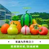 Esculturas de Frutas e Vegetais de Simulação para Exterior Fibra de Vidro Jardim Gramado Paisagem Modelos de Repolho Milho Pimenta Ornamentos Grandes