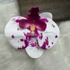 Cabeça de Flor de Orquídea Phalaenopsis Artificial, Textura de Película Impressa em 3D, Buquê Exquisito para Decoração de Casamento e Lembrança