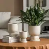 Vaso de cerâmica simples para orquídeas de argila, suculentas respiráveis, vaso criativo de grande diâmetro para plantas verdes de mesa com prato, adequado para varanda