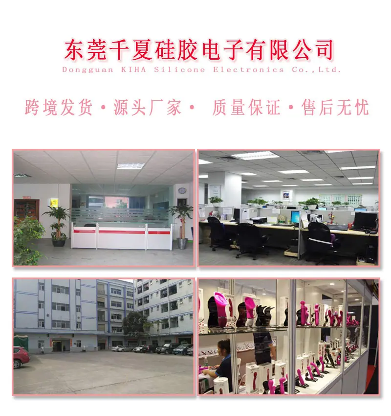 公司介绍