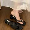 Chanclas plateadas de tacón grueso para mujer, verano 2025, nueva moda, estilo francés, sandalias pequeñas, chanclas