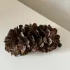 Puro Desejo Garota Sexy Estampa de Leopardo Retrô Presilha Banana Feminina Rabo de Cavalo Baixo Presilha Vertical Acessório de Cabelo