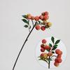 Fruta Simulada Lichia Galhos de Frutas Significado Bonito Arranjo de Flores Inspirador Arte Flores Decorativas Pastorais para Janela da Sala de Estar Ano Novo