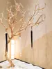 Decoración de Tronco de Árbol, Ramas Secas Peladas, Paisajismo, Troncos, Ramas Secas, Ramas Muertas, Adornos para Estantes, Ramas de Árbol con Estilo Artístico