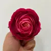 Ramillete de Flores Artificiales, Caja de Regalo con Gorro de Graduación y Flor, Materiales para Arreglos Florales, Arreglo Floral de Boda, Pared de Flores, Arreglo Floral, Flor Artificial, Ramo de Flores de Mano