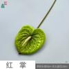 Anthurium Moderno Sin Rociado Goma Suave Palma Grulla de Fuego Flor de Centro Comercial Pared de Flores Paisajismo Flores Artificiales Arreglo Floral para Boda Flores Decorativas de Seda