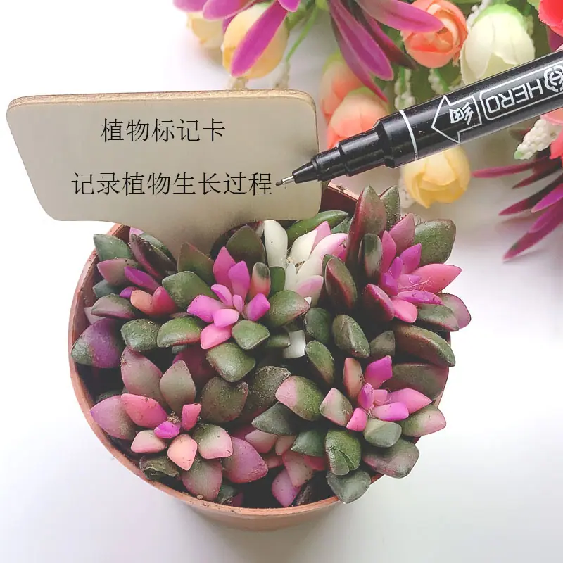 标记