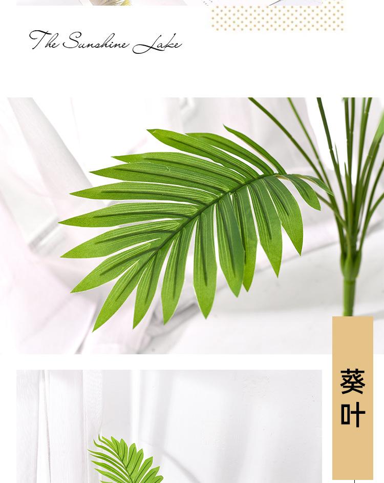 详情_19.jpg