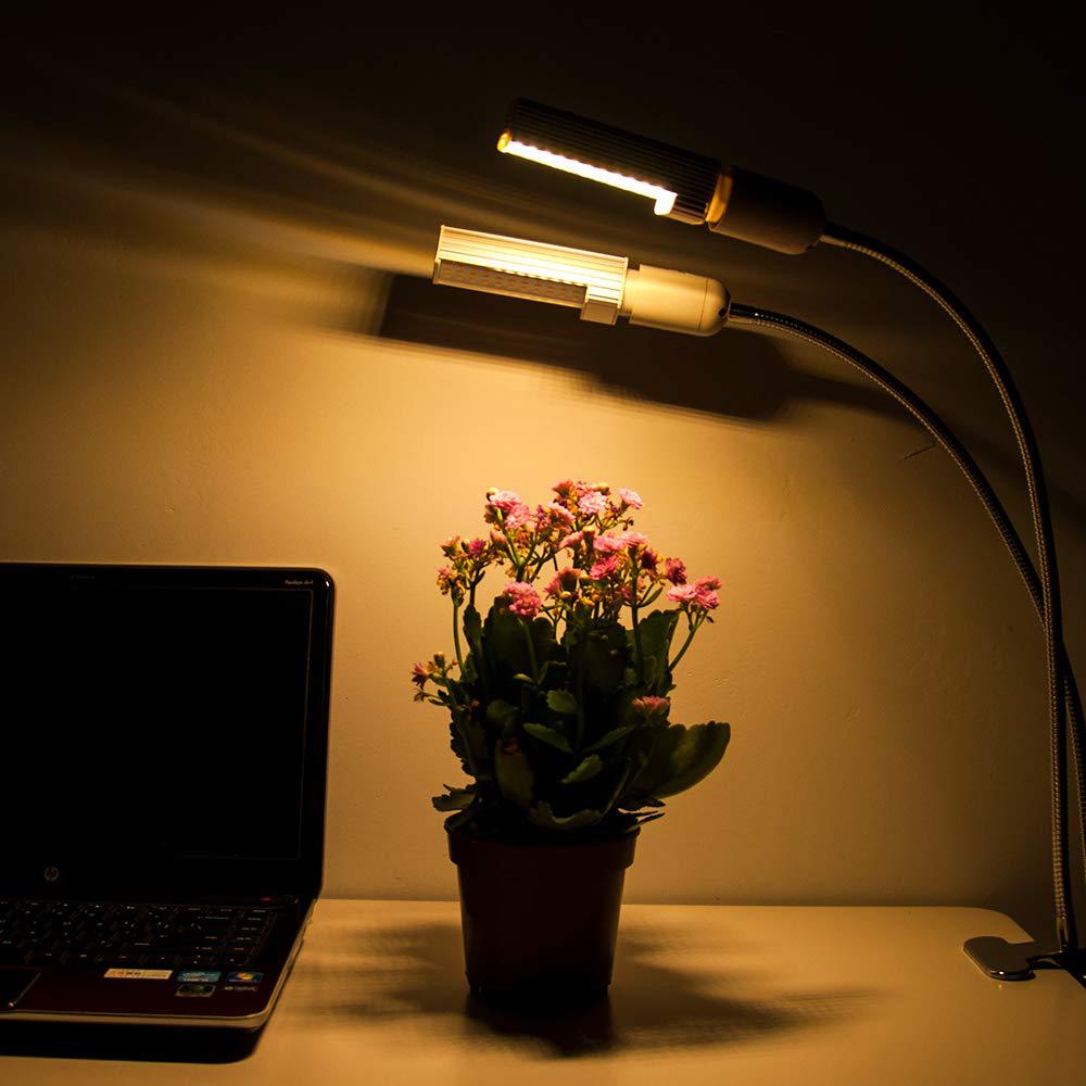 61Q64BDmMAL._SL1000_