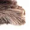 Pincel de pena de avestruz de fábrica para limpeza de poeira doméstica pincel de pena de avestruz para limpeza de poeira doméstica espanador cabelo de avestruz