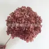 Flor Preservada Haste Única Hortênsia Anna Anna Folha Pequena Bella 40 Cores Personalizado Atacado Presente Dia dos Professores