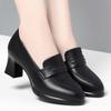 Zapatos de Tacón Alto para Mujer 2025 Primavera y Otoño Nuevo Estilo Zapatos Negros de Trabajo Versátiles Tacón Grueso Zapatos de Piel Zapatos para Ir al Trabajo Mamá Zapatos de Salón