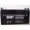 Batería de plomo-ácido SH100-12 12V100AH SAI solar host DC pantalla SEHEY Xili batería