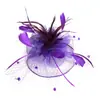 Amazon Europeo y Americano Novia Pluma Pequeño Adorno Sombrero Accesorios para el Cabello Fiesta del Té Festival de Carreras de Caballos Malla Retro Transfronterizo Flor de Cabeza Bola