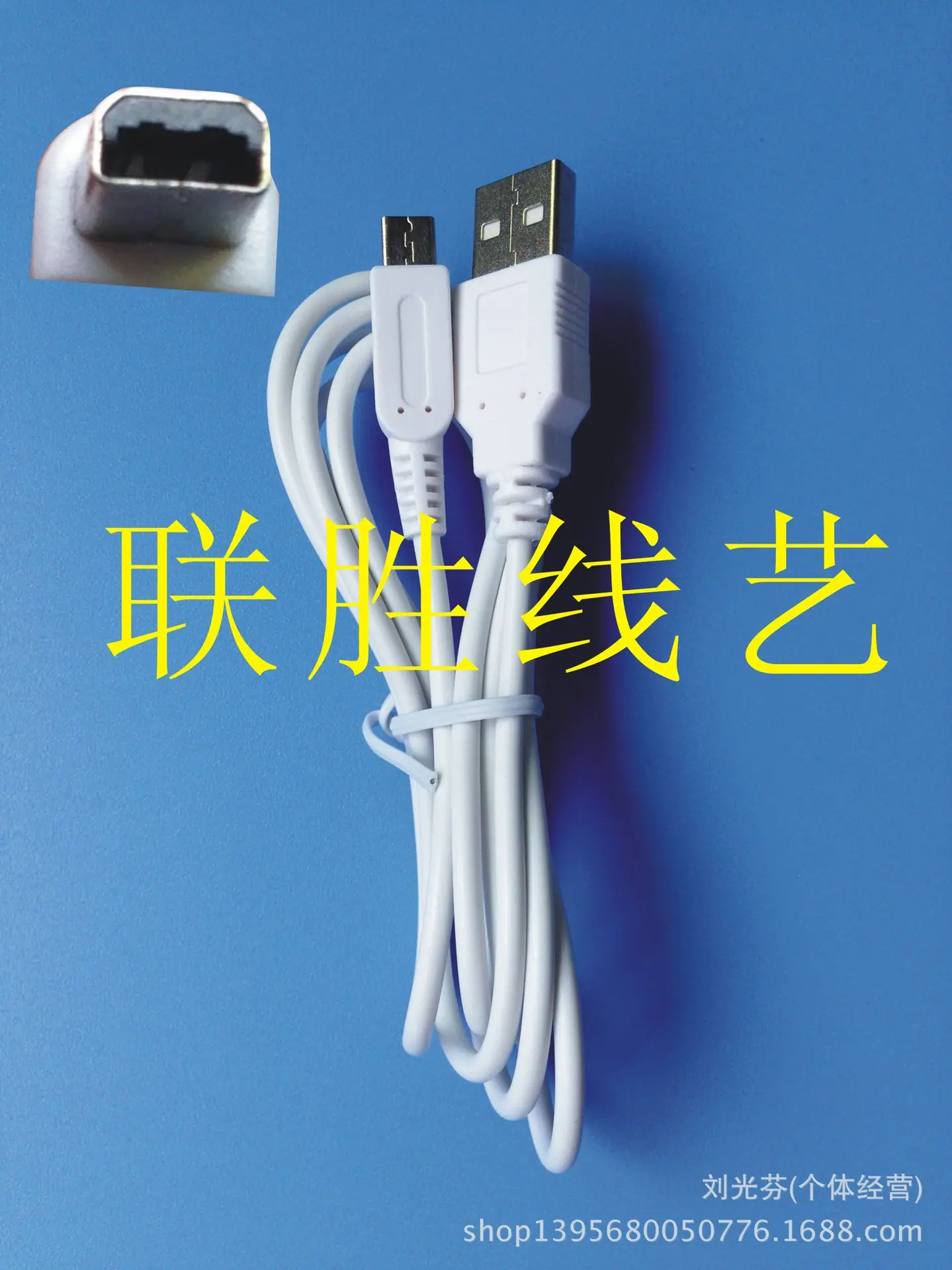 白色NDS.I充电线