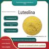 Luteolina Múltiplas Especificações Extrato de Casca de Amendoim Huang Shiling Luteolina Fornecimento Pronto 100g/