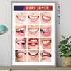 Pintura Pendurada para Clínica Odontológica Cartaz de Publicidade para Clínica Odontológica Quadro de Parede Pintura de Decoração de Parede para Estomatologia Mural de Dentes de Alta Qualidade