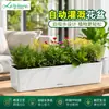 Maceta rectangular personalizada Lai Zhixiu para flores perezosas, pintada a mano, para balcón, automática, de plástico absorbente de agua, personalizada