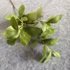 Nuevo Producto de Venta Directa Transfronteriza: Hoja de Frijol Artificial de 3 Ramas y Tallo Largo para Decoración del Hogar y Jardín, Hojas para Escenas, Hojas de Arte Floral Estilo Suave