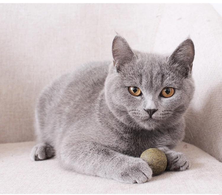 猫薄荷球9.jpg