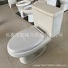 Inodoro Dividido Inodoro Inodoro Blanco Inodoro de Cuclillas Inodoro Vivienda de Alquiler Ingeniería Inodoro